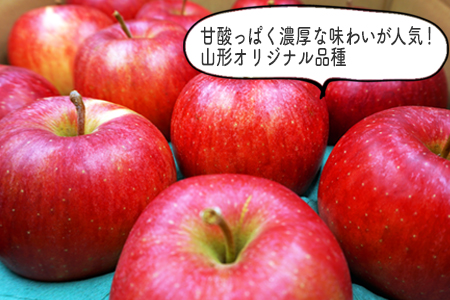 【2025年10月発送分先行受付】山形のりんご（秋陽）約5kg_H077(R7)