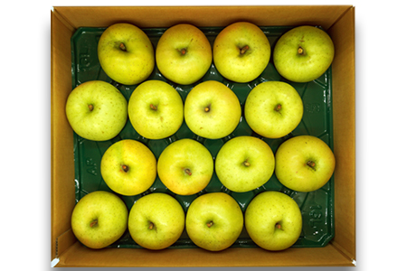 【2025年11月発送分先行受付】山形のりんご（王林）約5kg_H079(R7)