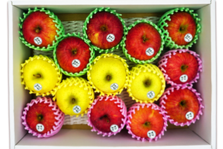 【2025年10月～12月発送分先行受付】山形のりんご食べくらべ3種 約3kg_H080(R7)