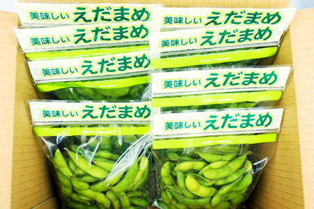 【2025年9月～10月発送分先行受付】山形秘伝の枝豆「秘伝豆」約2kg_H087(R7)