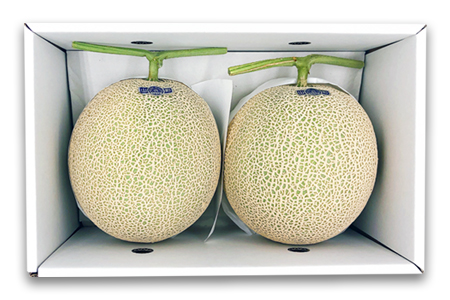 【2025年8月～9月発送分先行受付】置賜産マスクメロン（アールスメロン）約1.75kg～2.0kg×2玉_H136(R7)