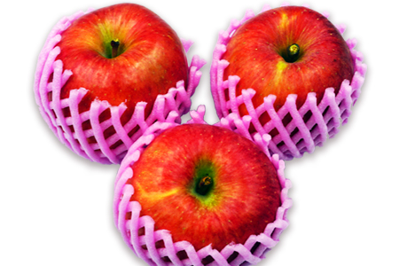 【2025年10月～11月発送分先行受付】山形のりんご（高徳）約3kg_H140(R7)