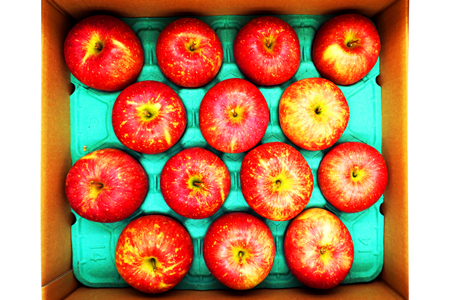 【2025年9月～10月発送分先行受付】山形のりんご（早生ふじ）約5kg_H075(R7)