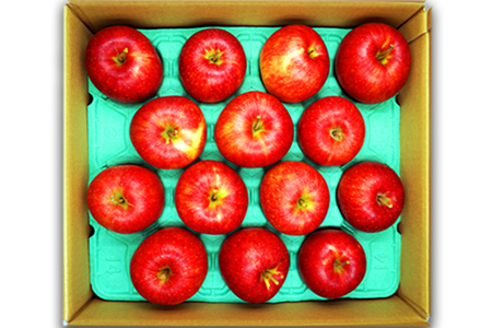 【2025年10月発送分先行受付】山形のりんご（秋陽）約5kg_H077(R7)