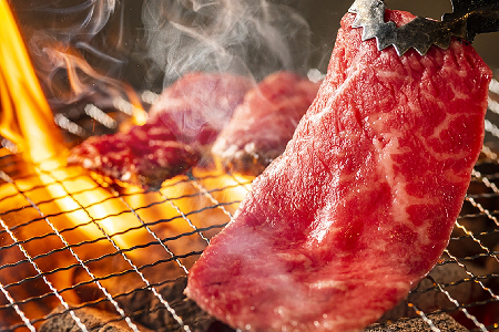 「厳選A5ランク」米沢牛霜ふりカルビ・赤身食べくらべ500g_B049