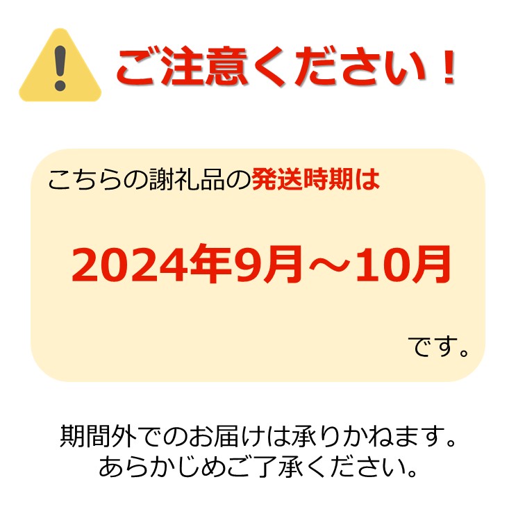 【2025年9月～10月発送分先行受付】山形のぶどう(シャインマスカット)約2kg（2～5房）_H063(R7)-2