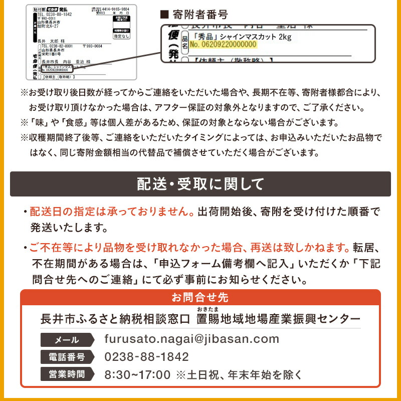 【2025年9月～10月発送分先行受付】山形のぶどう(シャインマスカット)2房・計1kg以上_H065(R7)-2