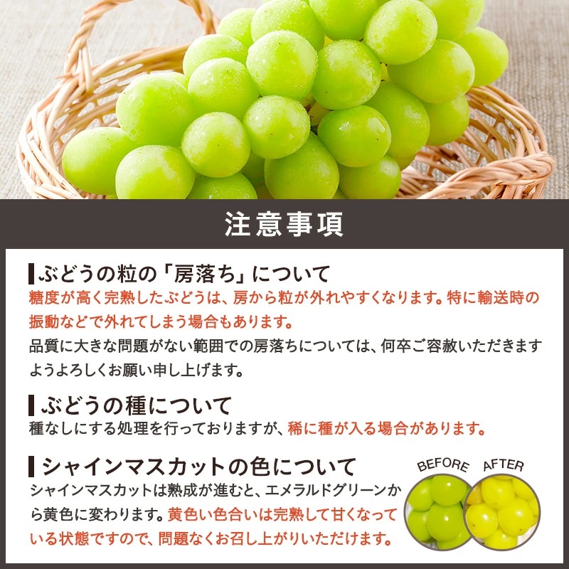 【2025年9月～10月発送分先行受付】山形のぶどう(シャインマスカット)約2kg（2～5房）_H063(R7)-2