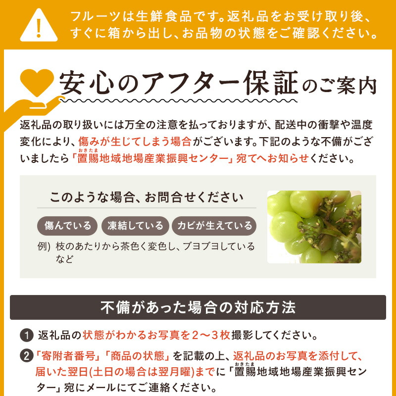 【2025年9月～10月発送分先行受付】山形のぶどう(シャインマスカット)2房・計1kg以上_H065(R7)-2