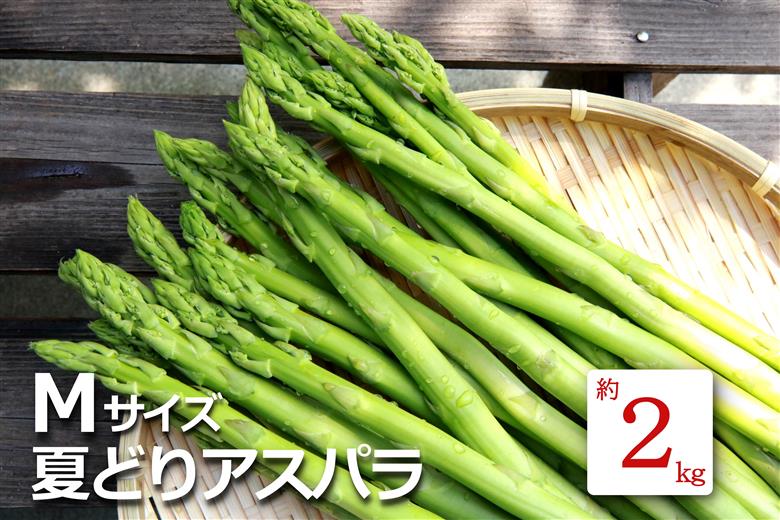 【2025年7月～8月発送分先行受付】夏どりアスパラ（M～Lサイズ・約2kg）_H052(R7)