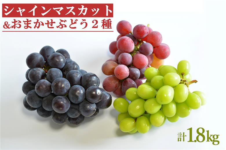 【2025年9月～10月発送分先行受付】シャインマスカットとおまかせ2種詰合せ約1.8kg（3種×各1～2房）_H133(R7)
