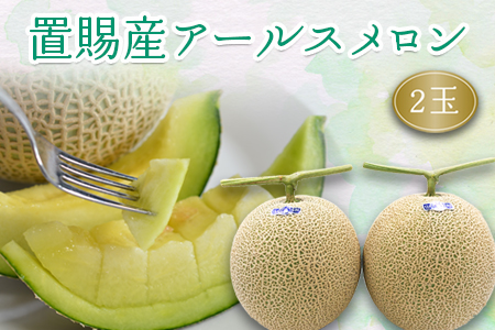 【2025年8月～9月発送分先行受付】置賜産マスクメロン（アールスメロン）約1.75kg～2.0kg×2玉_H136(R7)