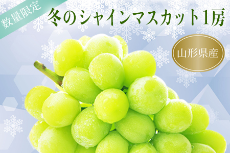【2025年12月発送分先行受付】冬の山形県産低温貯蔵シャインマスカット1房（約700～800g）_H067(R7)