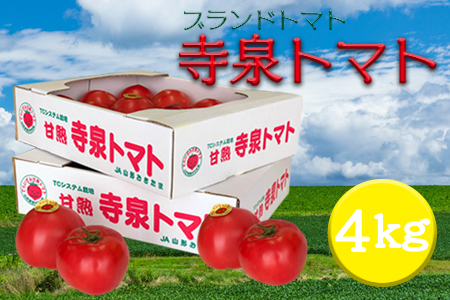【2025年5月～10月発送分先行受付】長井が誇る桃太郎系ブランドトマト「寺泉トマト」約4kg(2kg×2箱)_H101(R7)