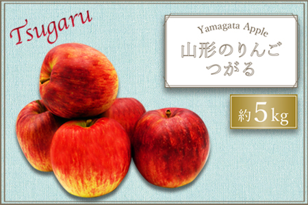 【2025年9月～10月発送分先行受付】山形のりんご（つがる）約5kg_H074(R7)