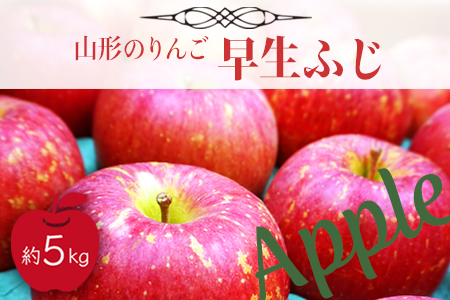 【2025年9月～10月発送分先行受付】山形のりんご（早生ふじ）約5kg_H075(R7)