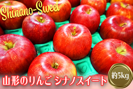 【2025年10月～11月発送分先行受付】山形のりんご（シナノスイート）約5kg_H076(R7)