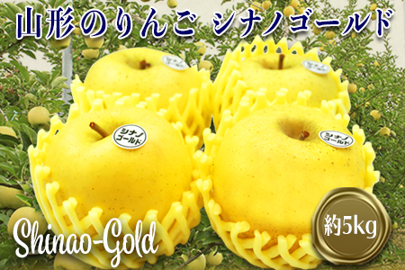 【2025年11月発送分先行受付】山形のりんご（シナノゴールド）約5kg_H120(R7)