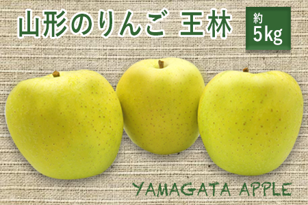 【2025年11月発送分先行受付】山形のりんご（王林）約5kg_H079(R7)