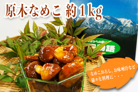 【2025年10月～11月発送分先行受付】原木なめこ約1kg_H088(R7)
