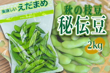 【2025年9月～10月発送分先行受付】山形秘伝の枝豆「秘伝豆」約2kg_H087(R7)