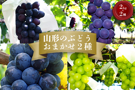 【2025年9月～10月発送分先行受付】「秀品」山形のぶどう品種おまかせ約4kg(約2kg×2種)_H056(R7)