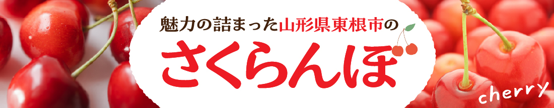 魅力の詰まった「山形県東根市のさくらんぼ」🍒