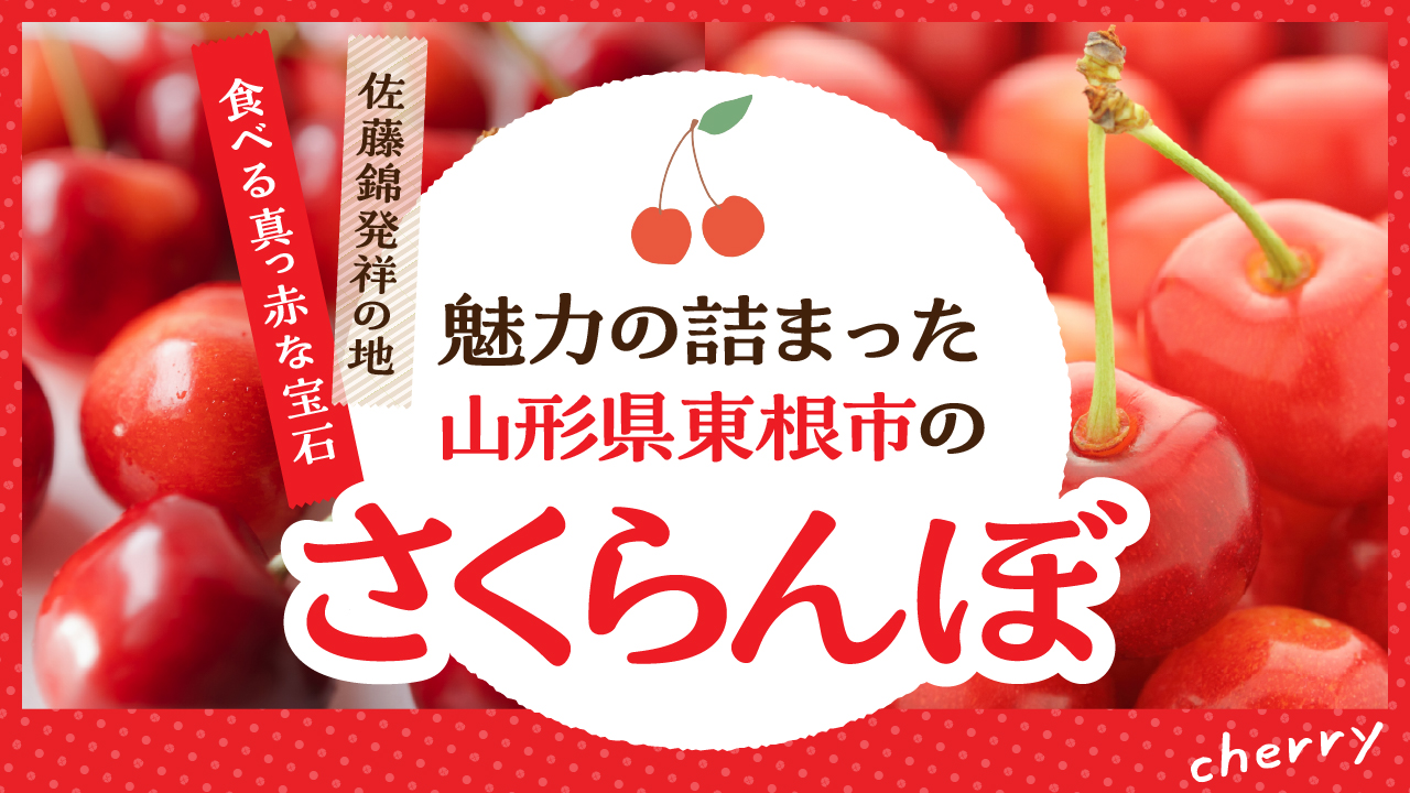 魅力の詰まった「山形県東根市のさくらんぼ」🍒