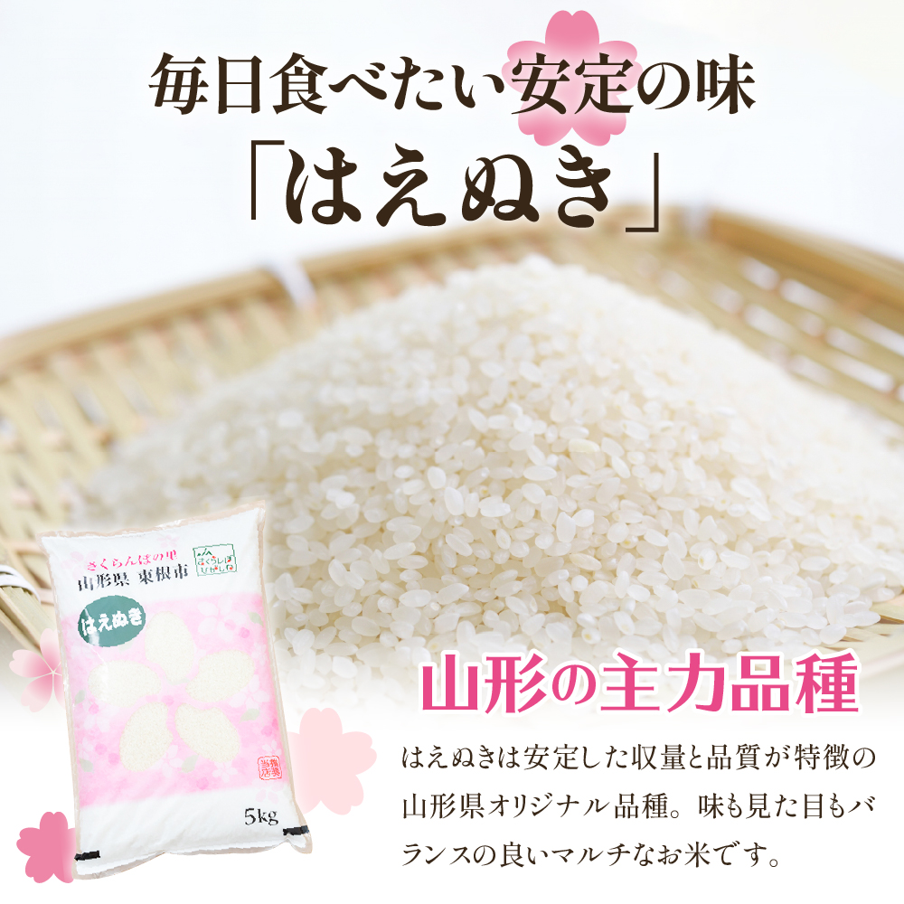 【令和7年産米】★2026年1月前半発送★はえぬき 10kg（5kg×2袋）山形県 東根市産　hi002-032-011-1 2026年1月前半発送
