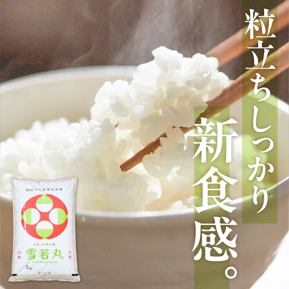 【令和7年産米】☆2026年2月前半発送☆ 雪若丸 5kg（5kg×1袋）山形県 東根市産　hi003-147-021-1 2026年2月前半発送