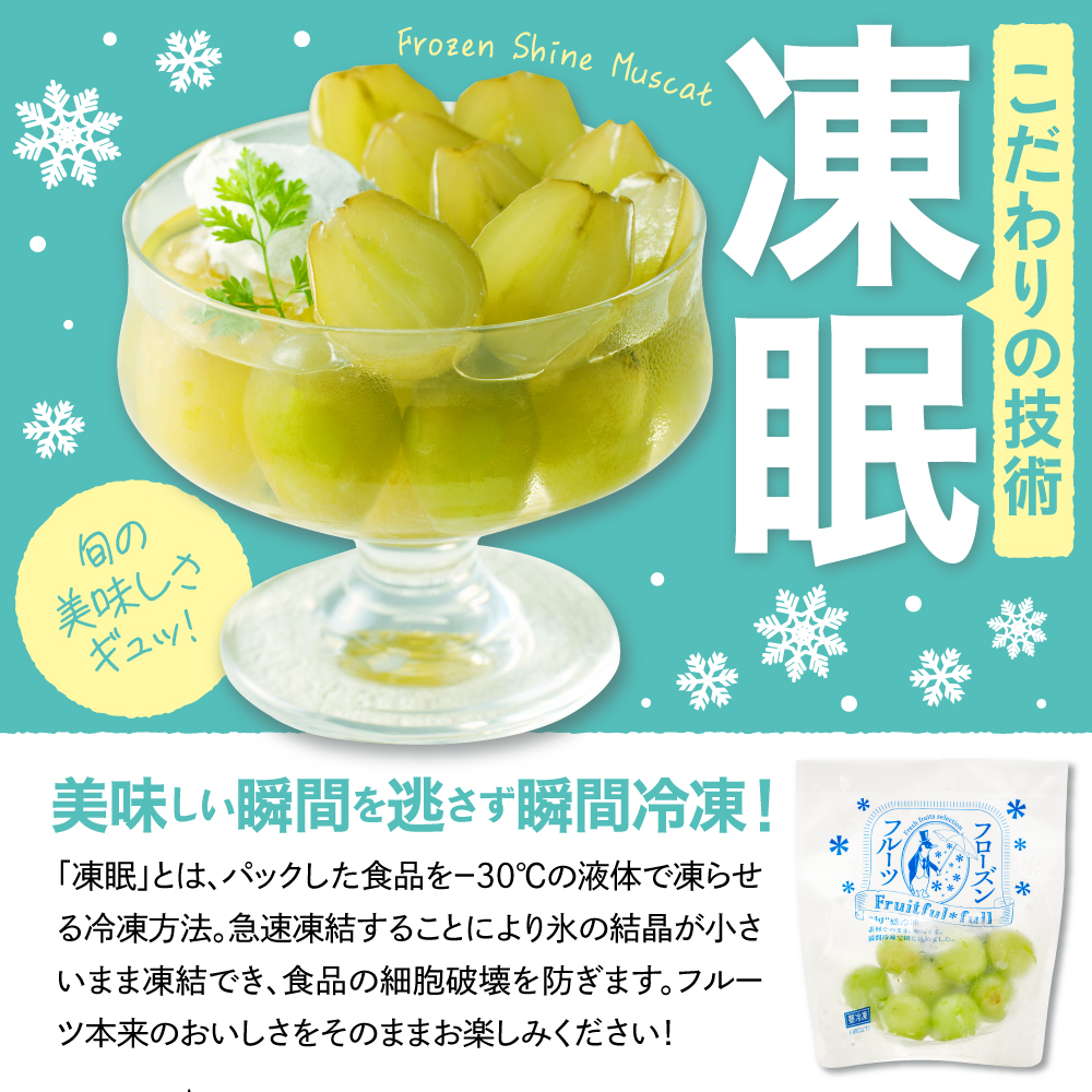 【瞬間冷凍】東根市産 シャインマスカット 100g×5袋 東根農産センター提供 hi027-245