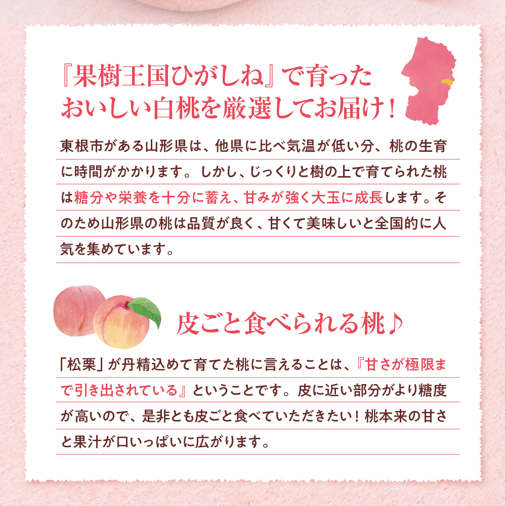 【2026年産】真の果実 贈答用 白桃2kg 松栗提供 山形県 東根市 hi062-055