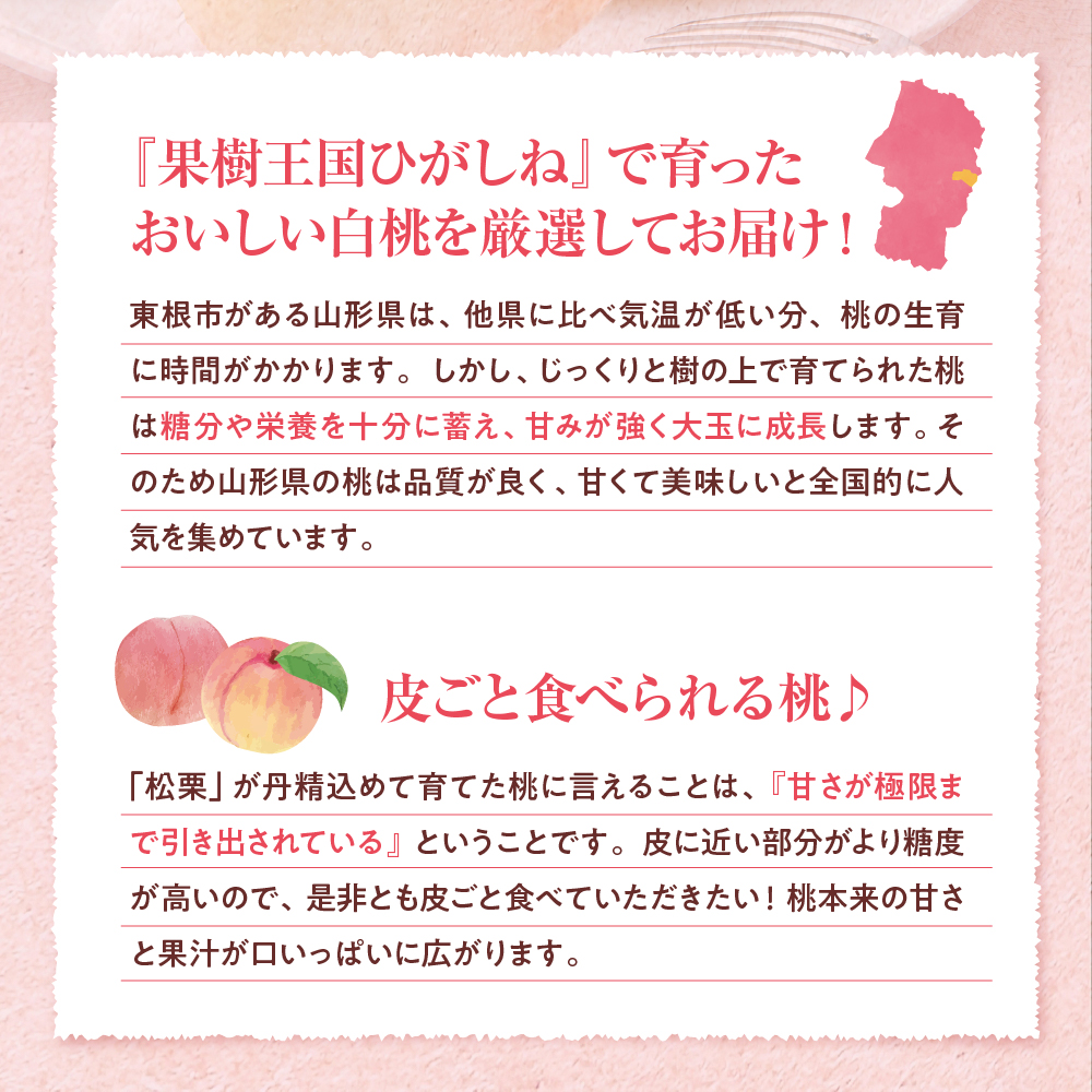 【2026年産】白桃 品種おまかせ 秀品2kg(やわらかめ) 松栗提供 山形県 東根市 hi062-057 白桃 品種おまかせ 秀品2kg(やわらかめ)
