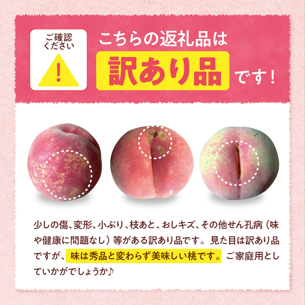 【2026年産】白桃 品種おまかせ 訳あり2kg(硬め) 松栗提供 山形県 東根市 hi062-058 白桃 品種おまかせ 訳あり2kg(硬め)