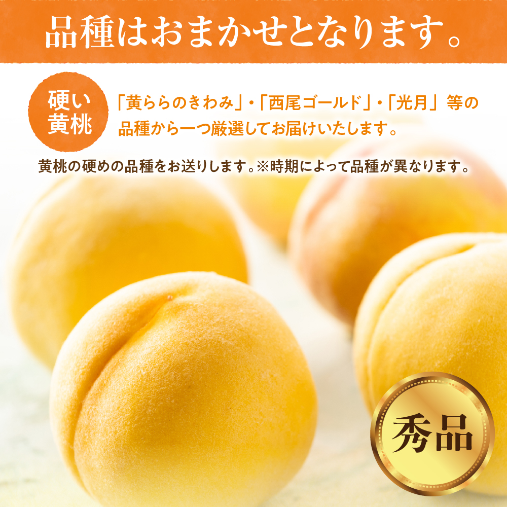 【2026年産】黄桃 品種おまかせ 秀品2kg(硬め) 松栗提供 山形県 東根市 hi062-061 黄桃 品種おまかせ 秀品2kg(硬め)