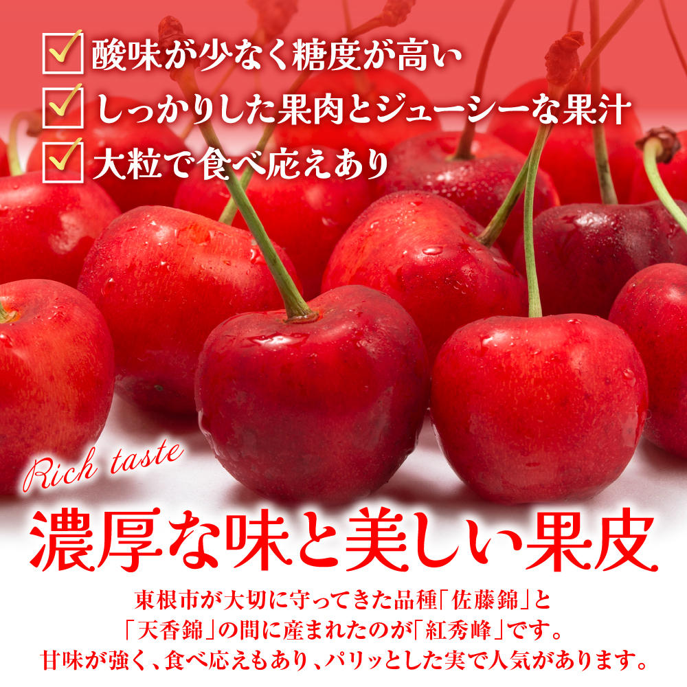 【2026年産　先行予約】紅秀峰 秀品 500g 山形県 東根市　hi062-052
