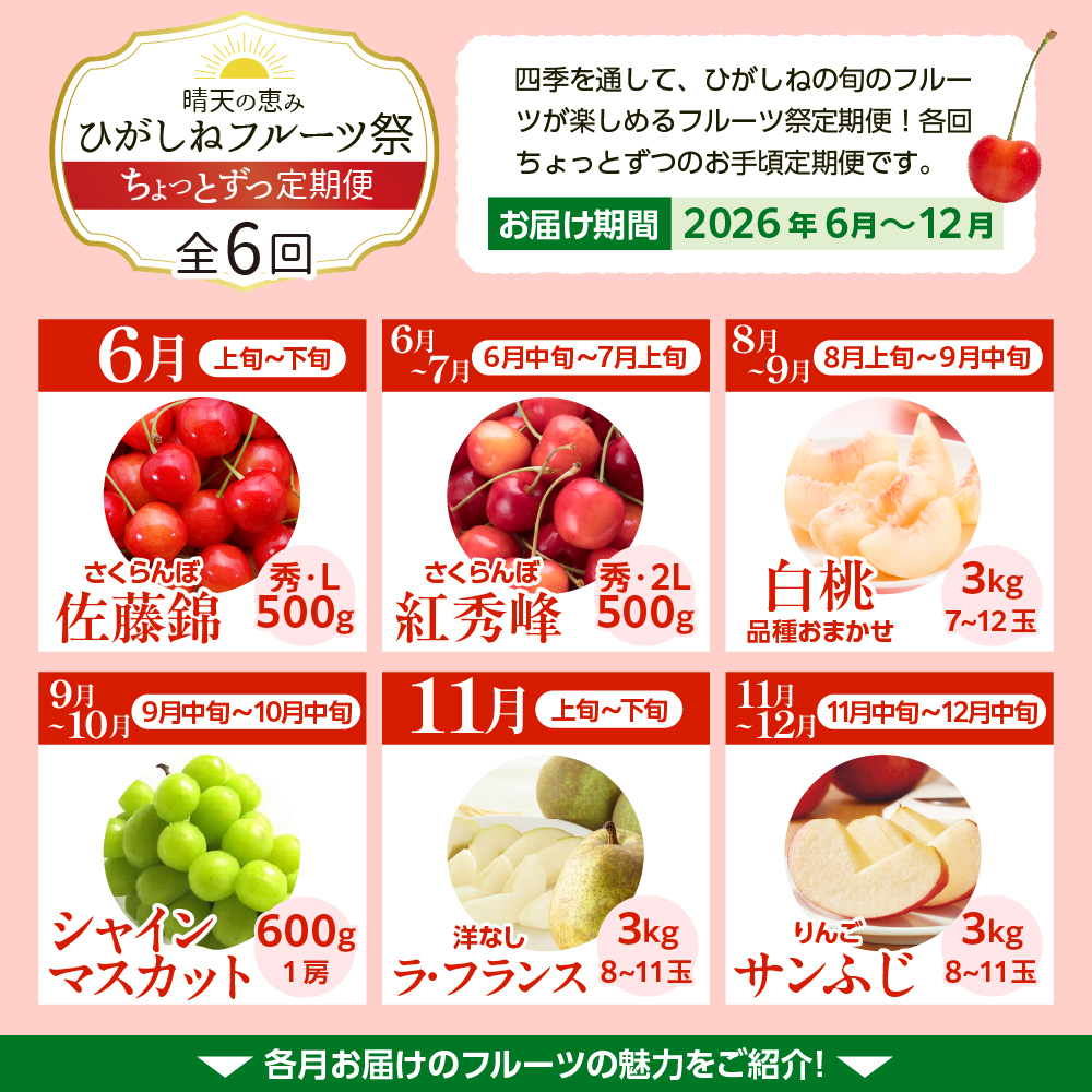 【2026年産先行予約】ひがしねフルーツ祭 ちょっとずつ定期便！全6回（2026年6月からスタート）山形県 東根市 hi026-052