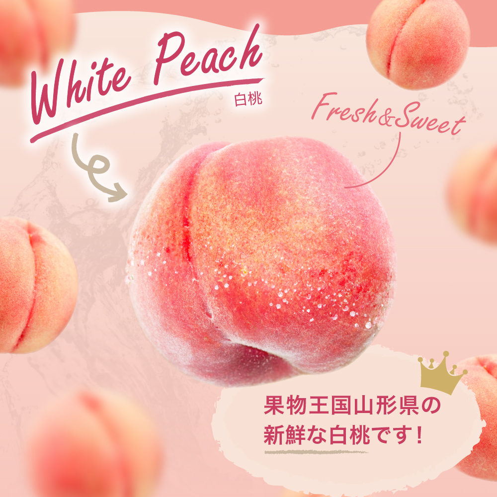 【2026年産 先行予約】 白桃 (品種おまかせ) 2kg 秀品 化粧箱入り 東根農産センター提供 山形県 東根市 hi027-257