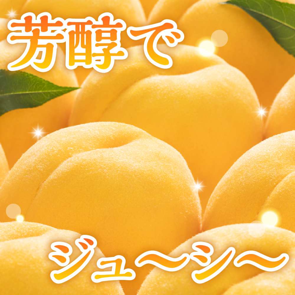 【2026年産 先行予約】 黄桃 (品種おまかせ) 2kg 秀品 化粧箱入り 東根農産センター提供 山形県 東根市 hi027-260
