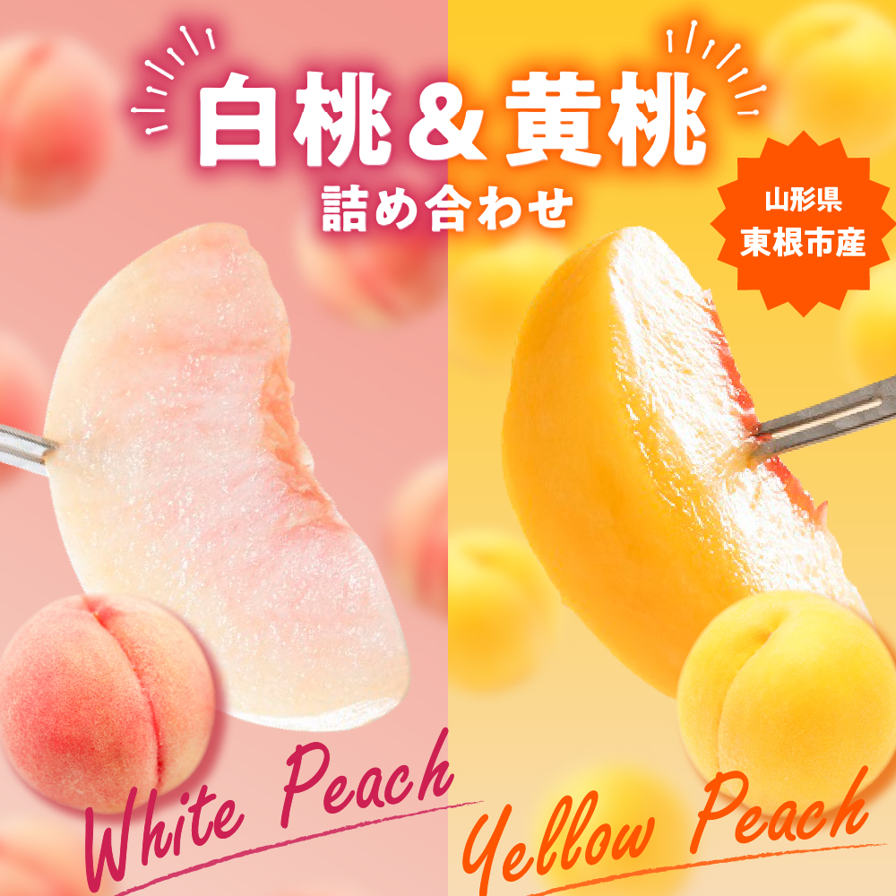 【2026年産 先行予約】 白桃＆黄桃 詰め合わせ (品種おまかせ) 5kg 秀品 化粧箱入り 東根農産センター提供 山形県 東根市 hi027-265