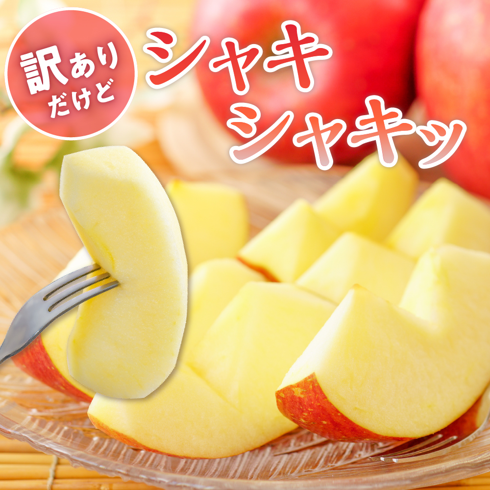 【令和7年産 先行予約】ご家庭用サンふじ満杯詰（約4.5kg) 山形県 東根市 東根農産センター提供 hi027-204-1