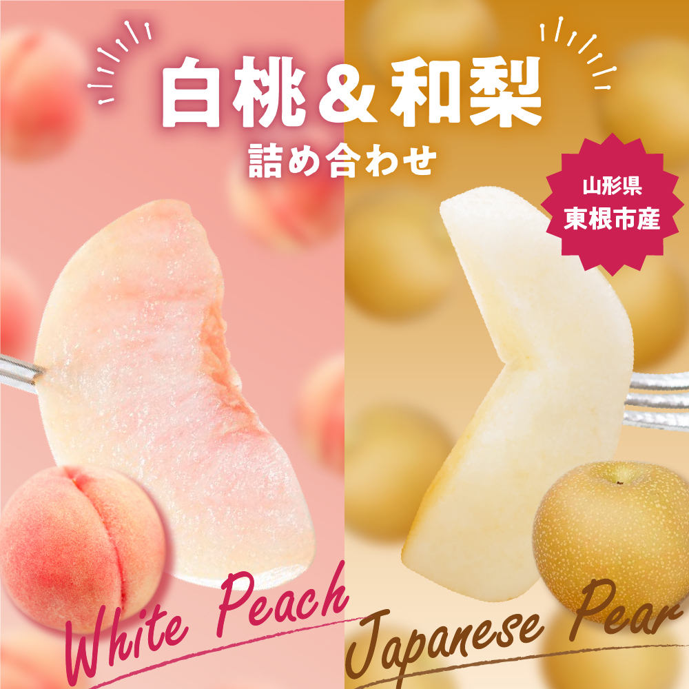 【2026年】東根市産 白桃（品種おまかせ）＆和梨 詰め合わせ 3kg 秀品 化粧箱入り 山形県 東根市 hi027-240
