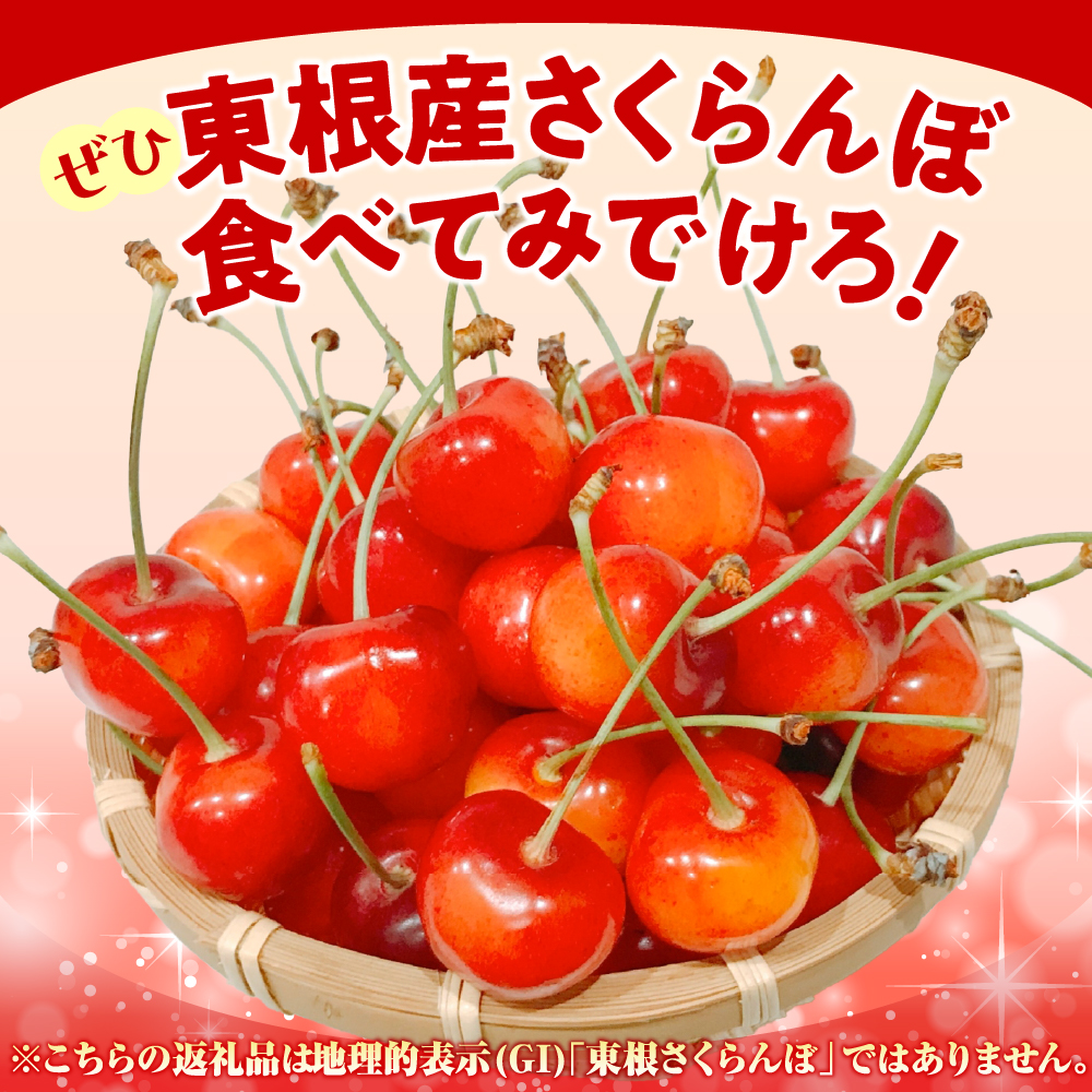 2026年 東根産さくらんぼ「佐藤錦」1kgバラ詰め(500g×2ﾊﾟｯｸ) 秀品 Lサイズ 東根農産センター提供 山形県 東根市 hi027-215