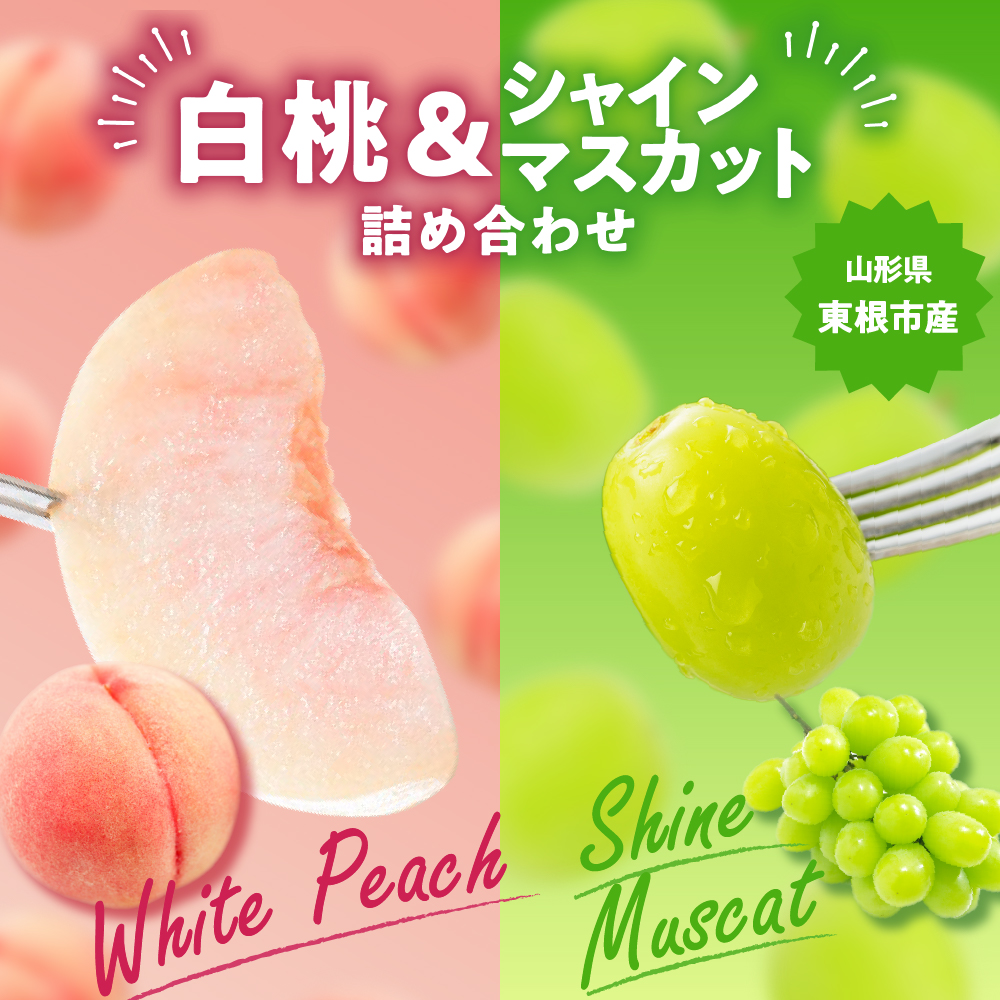 【2026年】 東根市産 白桃（品種おまかせ）秀品＆シャインマスカット詰め合わせ 化粧箱入り3kg 山形県 東根市 hi027-238