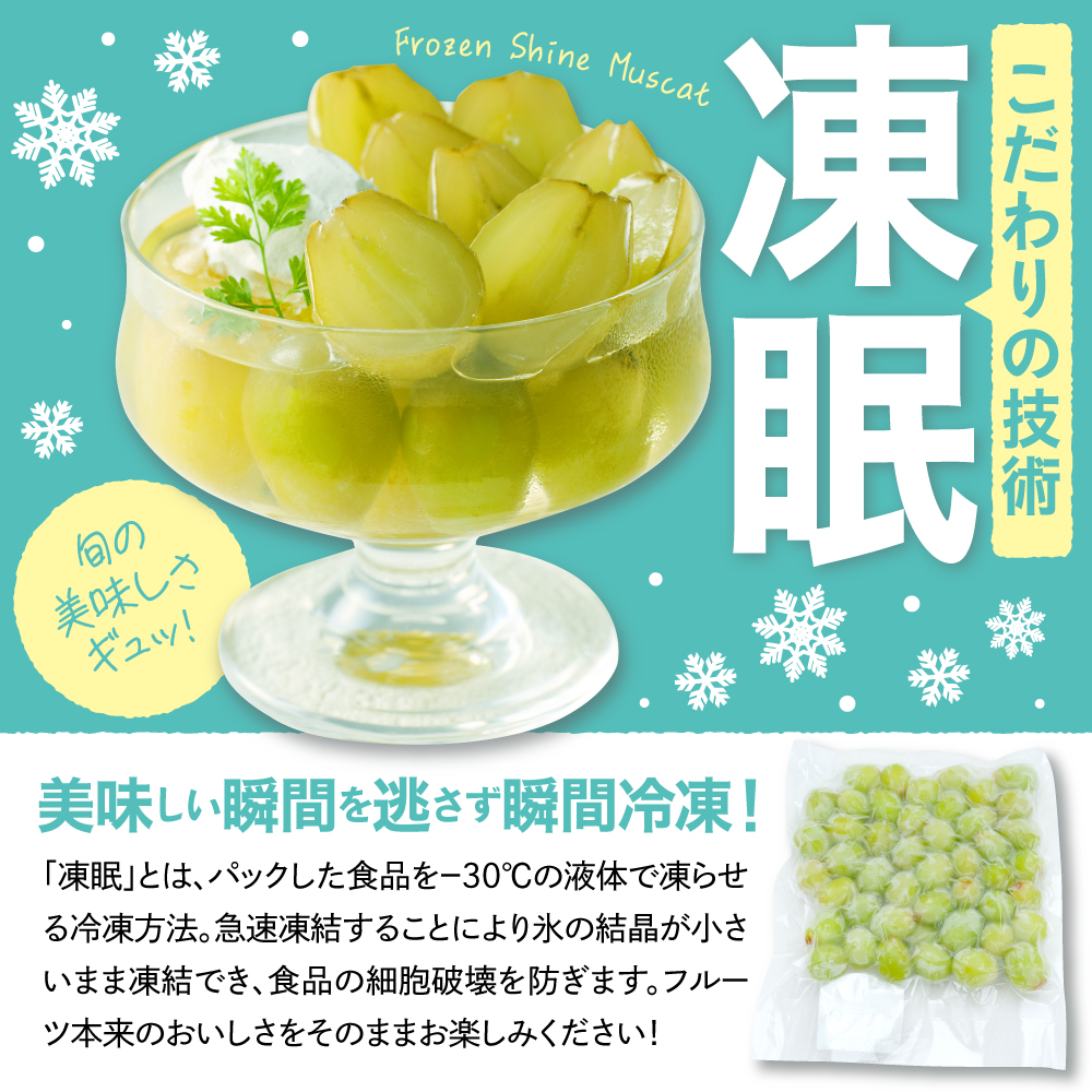【瞬間冷凍】東根市産 シャインマスカット 大容量 500g 東根農産センター提供 hi027-246