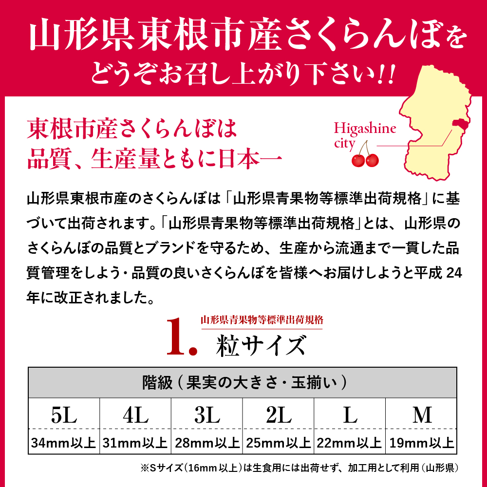 【2026年産】さくらんぼ「佐藤錦」秀品 1kgバラ詰め (500g×2パック) Lサイズ以上 安達農園提供 山形県 東根市 hi037-013