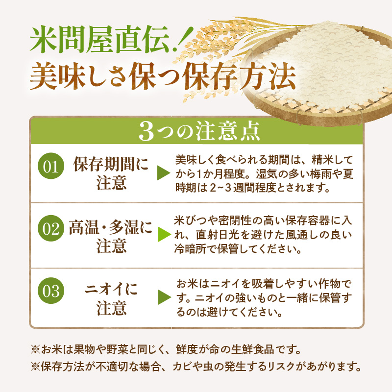 【令和7年産米】※2026年10月後半発送※ はえぬき10kg 山形県 東根市産 深瀬商店提供 hi053-063-103 2026年10月後半発送