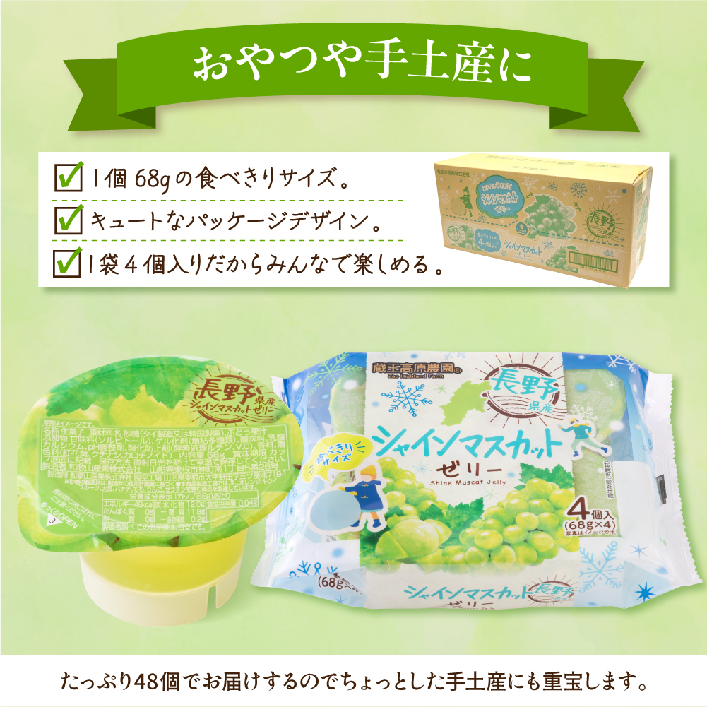シャインマスカットゼリー1袋4個入×12袋 和歌山産業提供 山形県 東根市 hi070-007 シャインマスカットゼリー（48個）