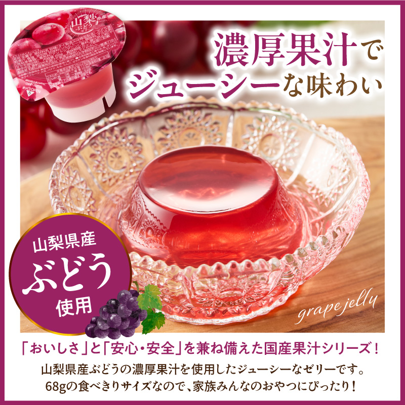 ぶどうゼリー 1袋4個入×12袋 和歌山産業提供 山形県 東根市 hi070-014 ぶどう