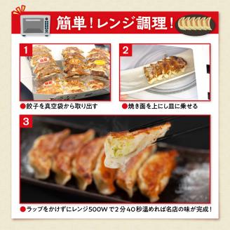 ひろしの職人焼き餃子（レンチン餃子　hi004-hi044-002